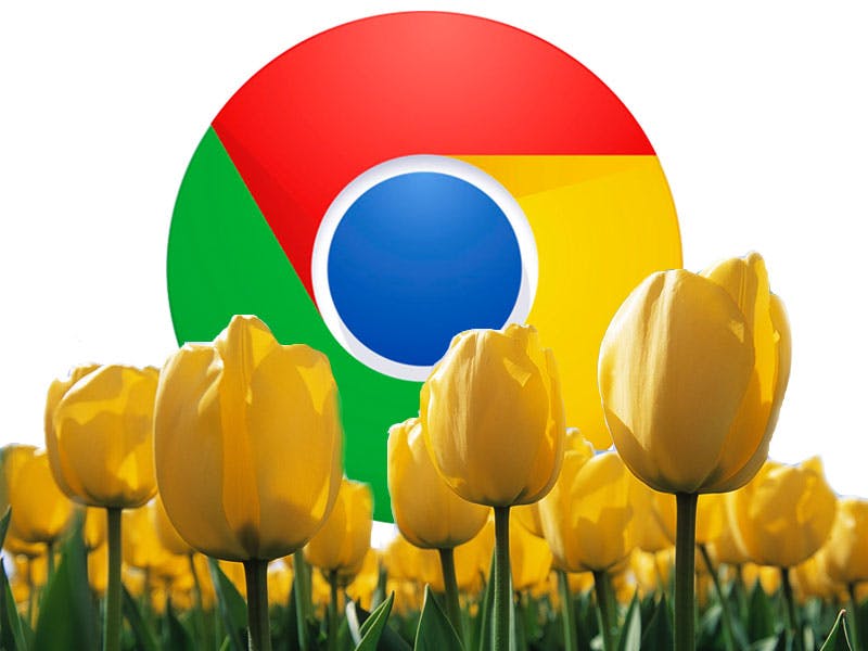 Google Chrome nummer 1 in Nederland