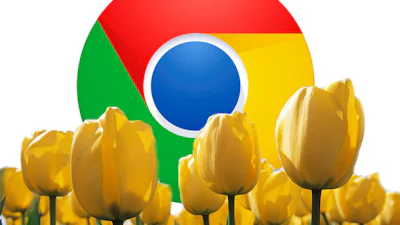 Google Chrome nummer 1 in Nederland