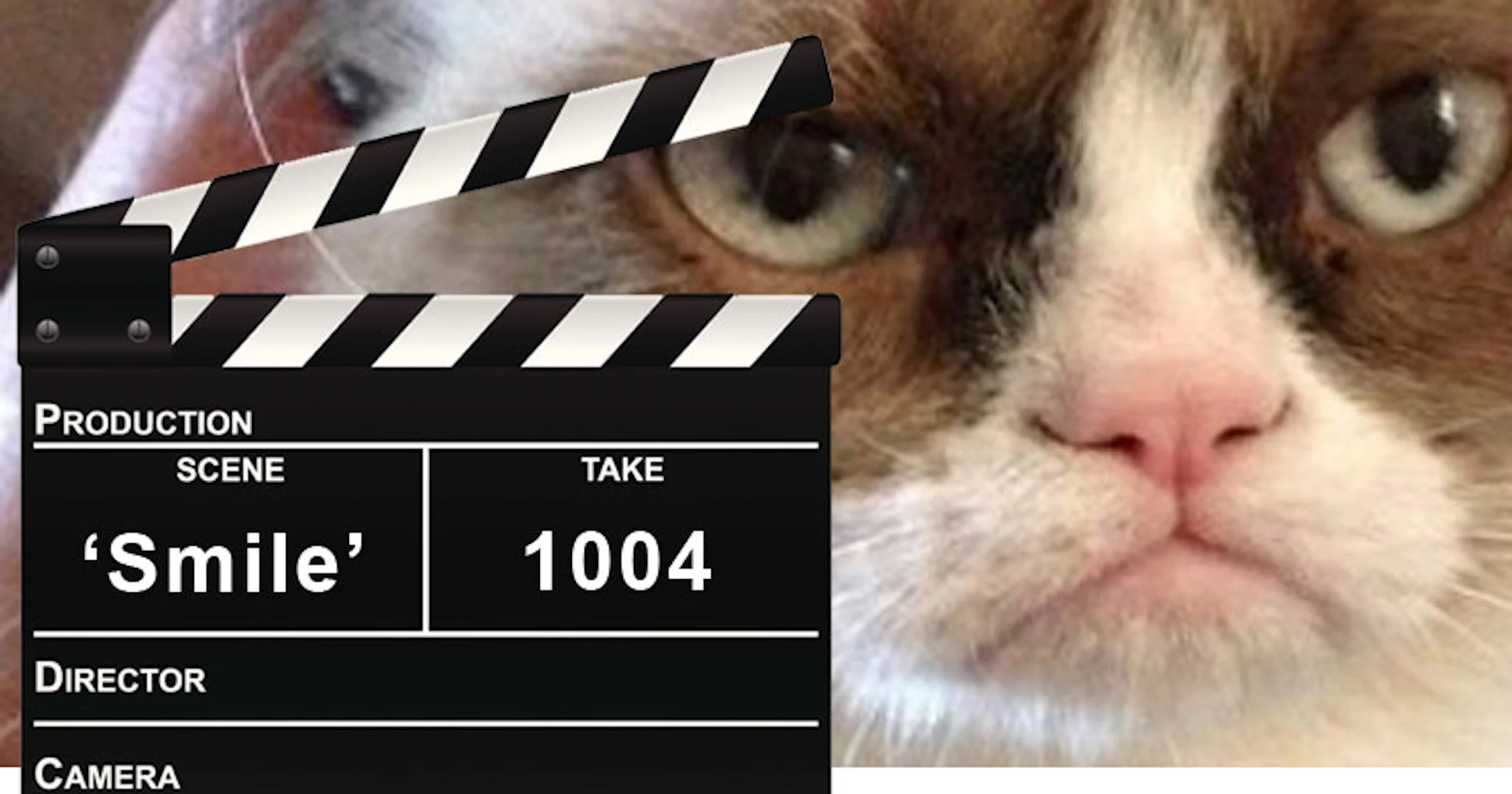 Grumpy Cat film op komst