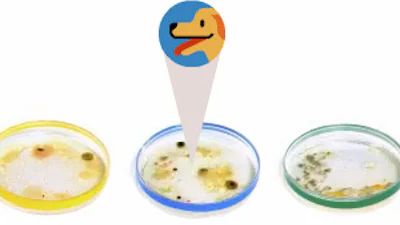 Julius Richard Petri Google Doodle