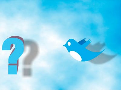 Waarom is Twitter zo populair?
