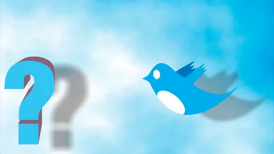 Waarom is Twitter zo populair?