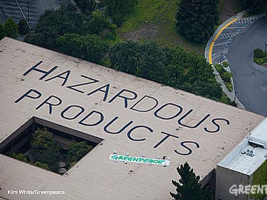 Geintje van Greenpeace op hoofdkantoor HP