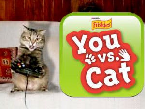 You vs. Cat iPad-spel: Gamen tegen je kat