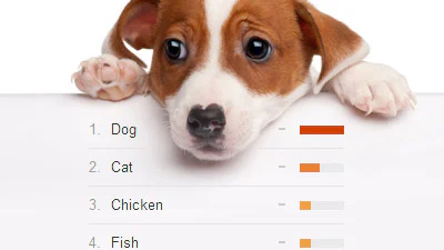 Google Trends: Hond populairst op internet