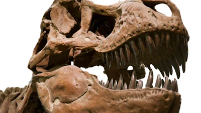 3D-printer kan exacte vorm dinofossielen onthullen