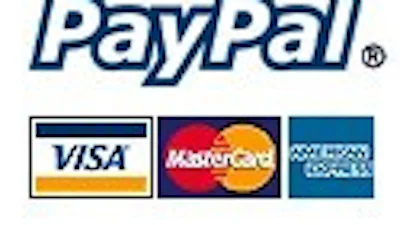 Gevaarlijk lek in website PayPal ontdekt