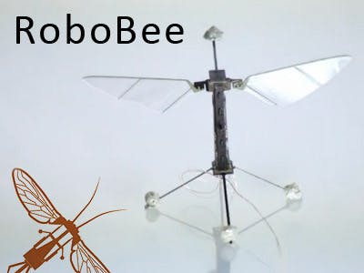 Harvard’s robotinsect ‘RoboBee’ maakt eerste vlucht