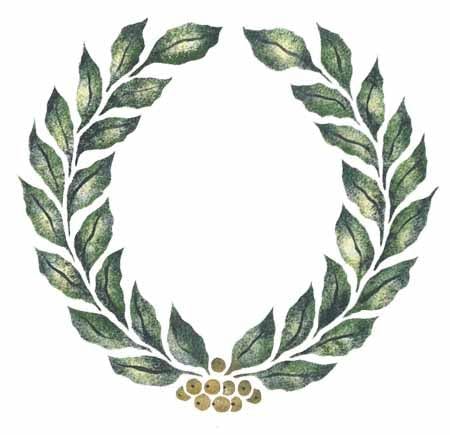 Tweedehands handel op internet goed voor het milieu