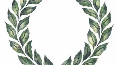 Tweedehands handel op internet goed voor het milieu