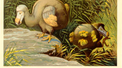 Nieuwe dodo-expeditie online te volgen