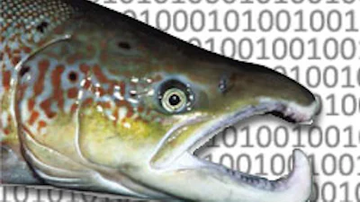 Zalm-DNA als geheugenopslag van de toekomst?