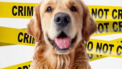 Dader ‘Almere moord’ is hond Rama