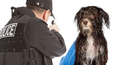 Google Maps toont moord...of natte hond?