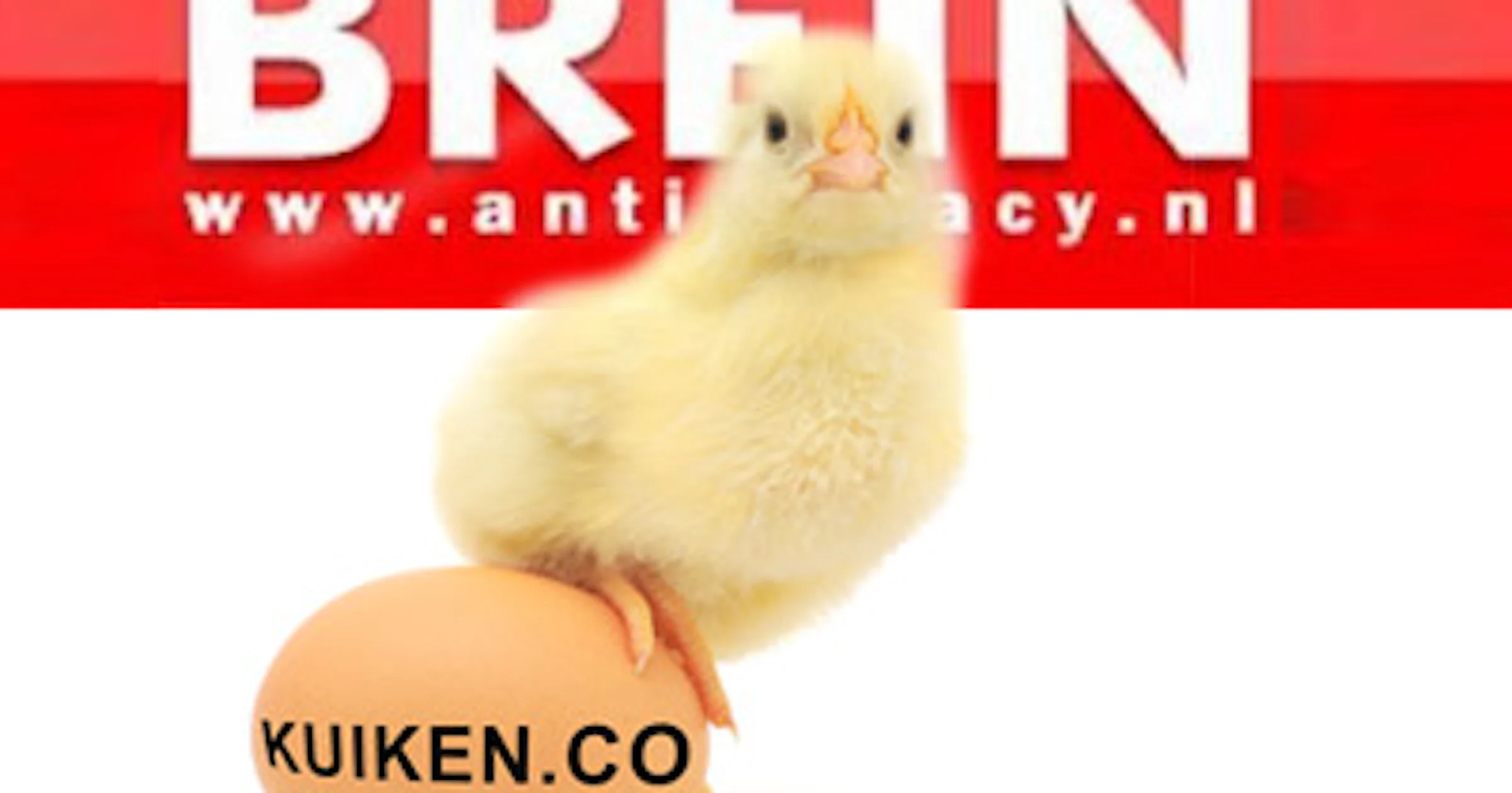 Brein legt beslag op bankrekening van kuiken.co