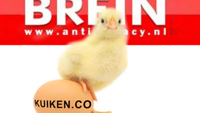 Brein legt beslag op bankrekening van kuiken.co