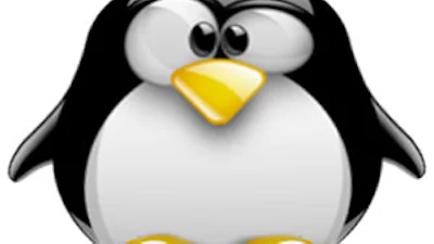 Linux wordt te groot