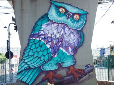 Google Art Project toont Braziliaanse graffitikunst
