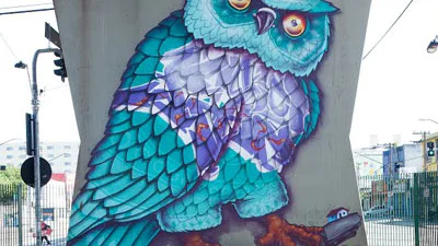 Google Art Project toont Braziliaanse graffitikunst