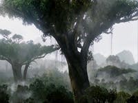 Avatarbos in Nederland op kosten van James Cameron

