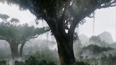 Avatarbos in Nederland op kosten van James Cameron