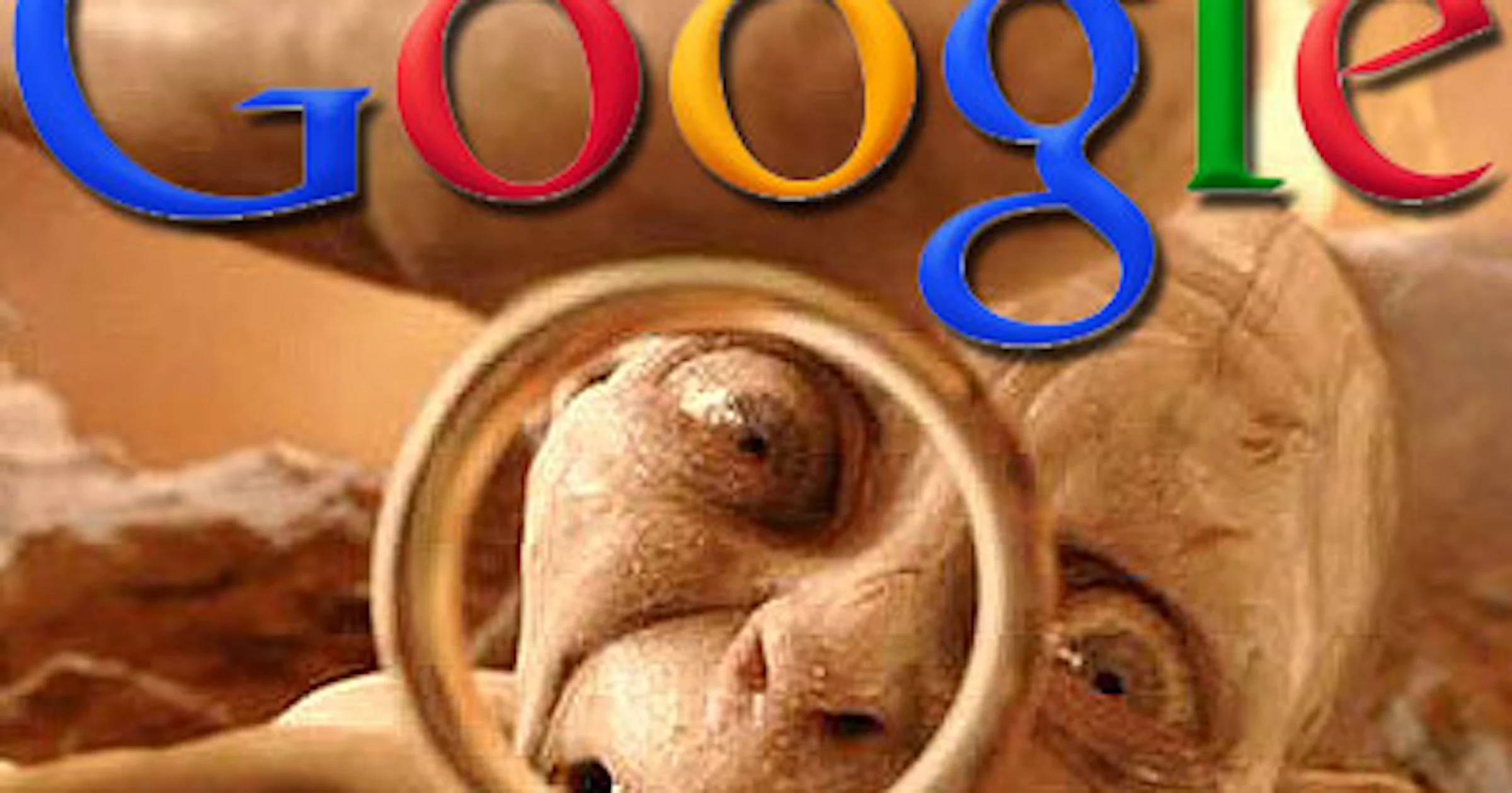 Google-ring om mee in te loggen