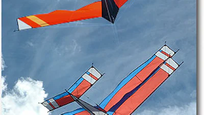 Nederlandse reissites regelmatig 'uit de lucht'