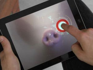 Pig Chase: Gamen met echte varkens