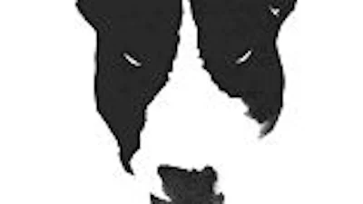 MTV laat nieuwe show in première gaan op mobieltje