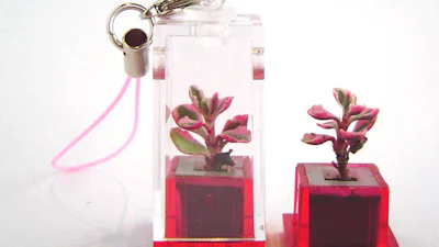 Het nieuwste gsm-hebbeding is een...plant!