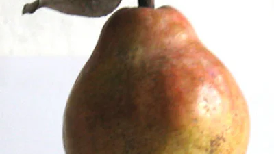 Wachtwoorden makkelijk te vinden met p2p-software