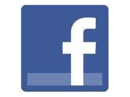 Torrent met openbare Facebook-profielen online