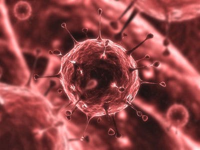 Sasfis-virus infecteert ruim 20 Nederlandse instellingen [UPDATE]