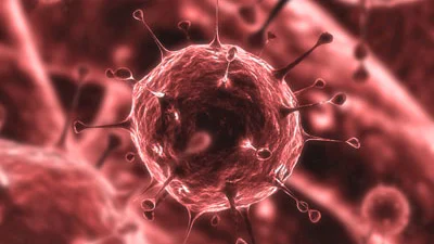 Microsoft: Virus vooral schuld van gebruiker