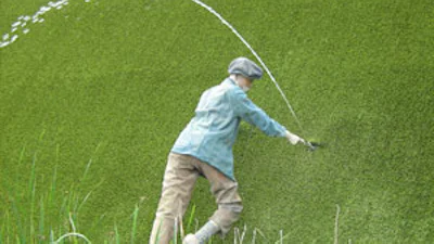Gemeentesites zo lek als een mandje