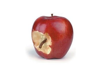 Nep-cadeaubon iTunes verspreidt malware