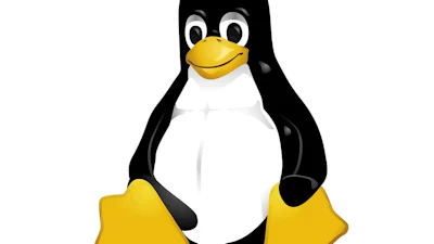 Relatief veel spam vanaf Linux-systemen