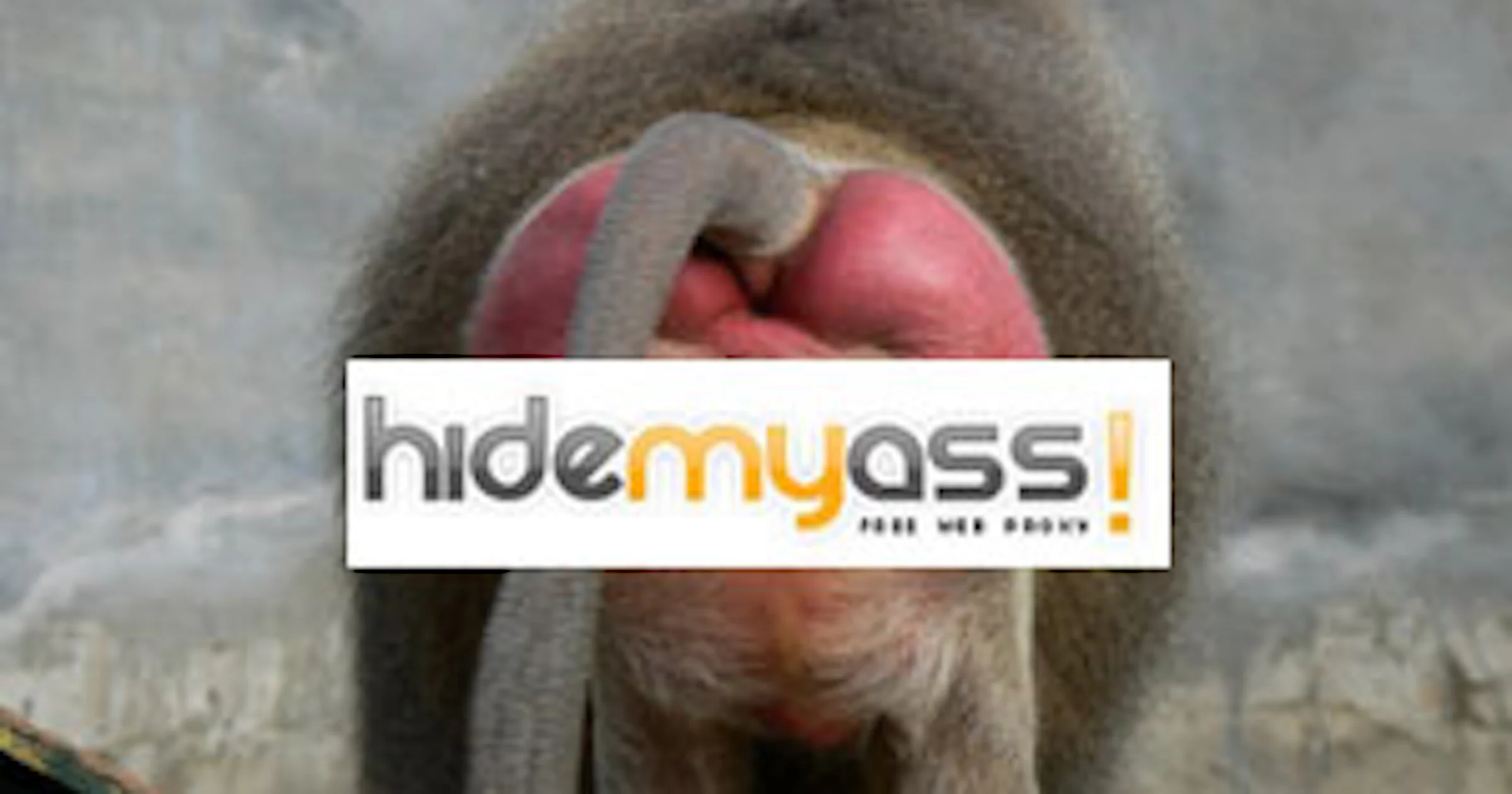 HideMyAss.com toont ‘asses’ wel aan FBI