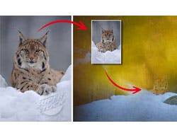 Fotograaf nept wereld met gephotoshopte foto's