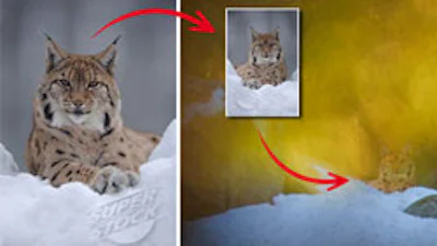 Fotograaf nept wereld met gephotoshopte foto's