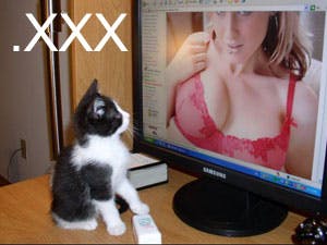 Porno-domein .xxx niet voor beroemdheden