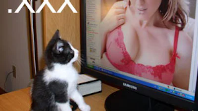 Porno-domein .xxx niet voor beroemdheden