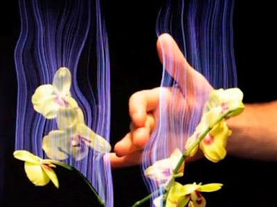 Disney’s Botanicus Interacticus: Plant met touchbediening