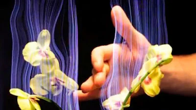 Disney’s Botanicus Interacticus: Plant met touchbediening