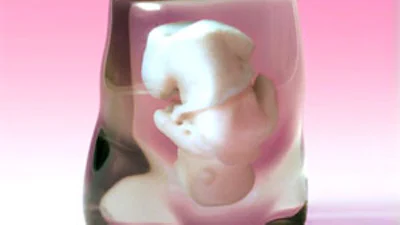 Ongeboren foetus in geschenkverpakking