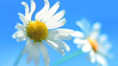 Windows 8 wallpaper en lockscreen gelekt