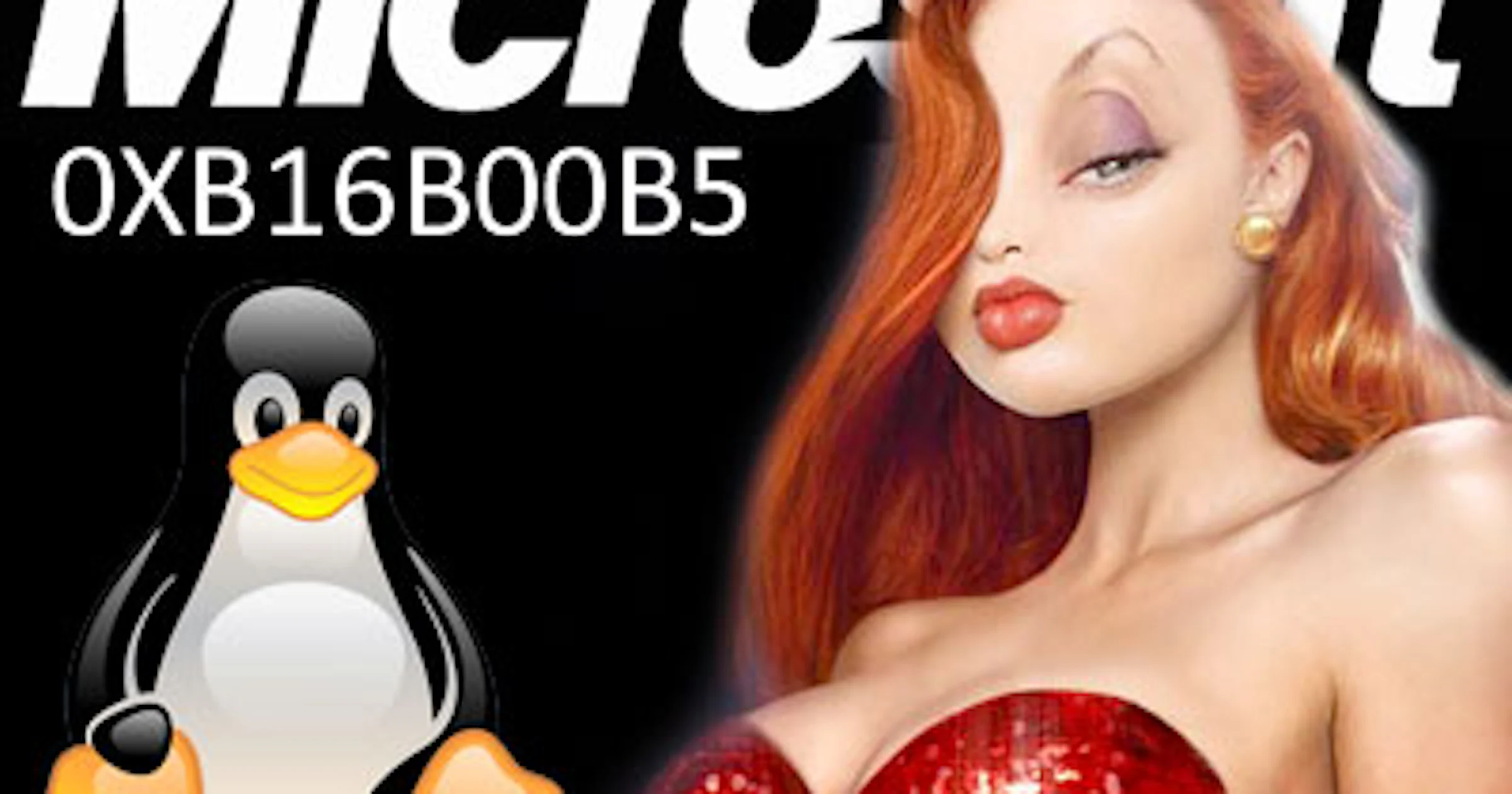 ‘Big Boobs’ ondersteunt Linux op Windows
