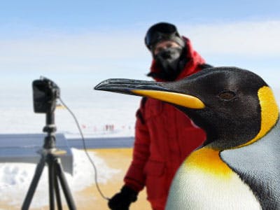 Google Maps Street View Antarctica panoramafoto’s
