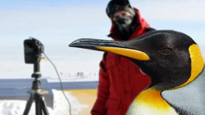 Google Maps Street View Antarctica panoramafoto’s