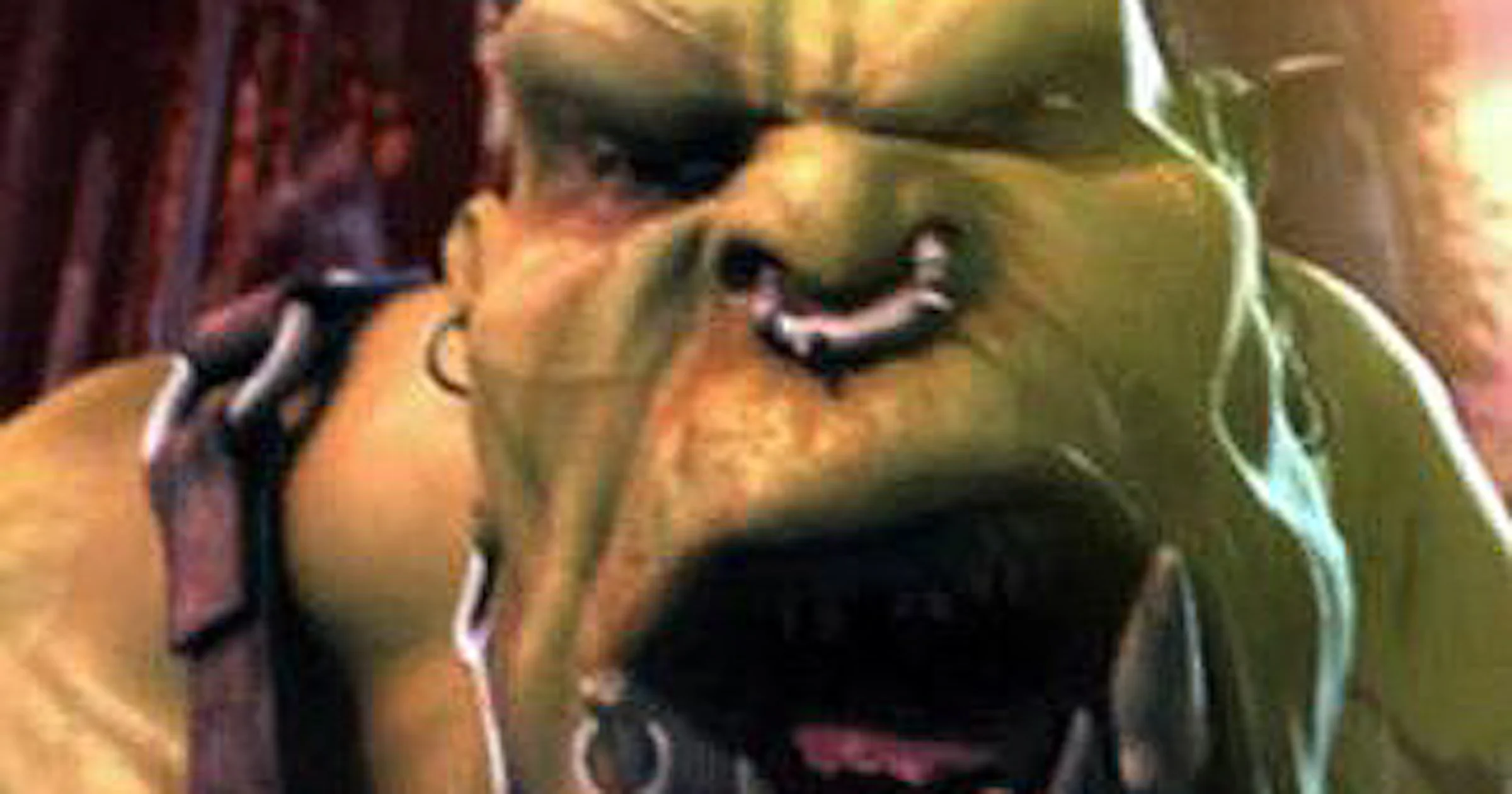 World of Warcraft gratis te spelen